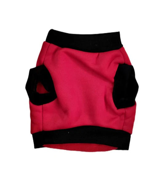 PetPerfect Picks dog food