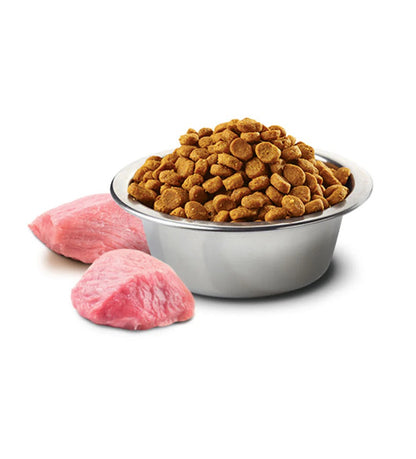 MeowMakers Merchandise cat food